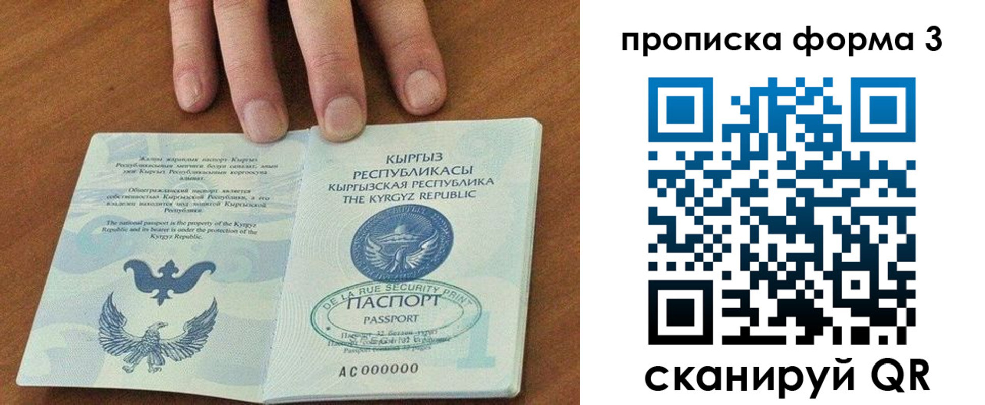 прописка 2025 в Истре